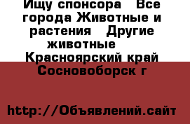 Ищу спонсора - Все города Животные и растения » Другие животные   . Красноярский край,Сосновоборск г.